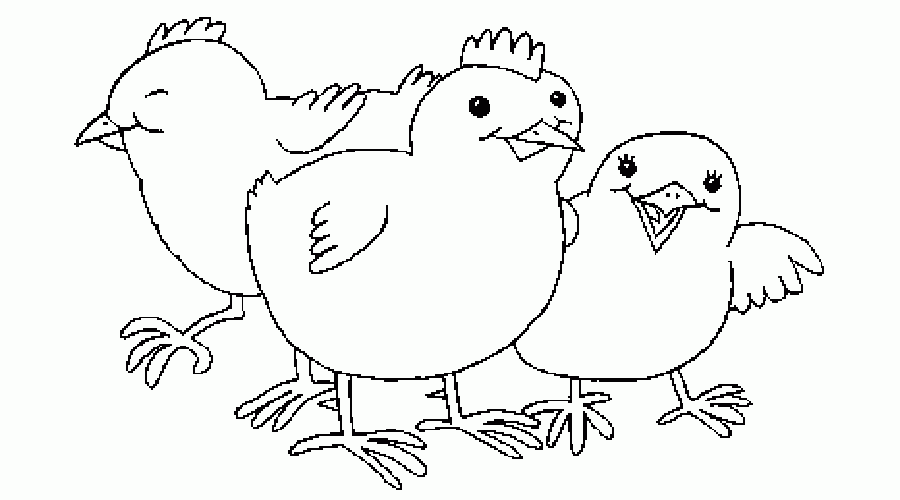 Великденски пиленца