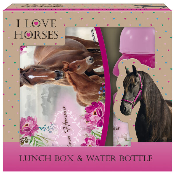 Комплект кутия и бутилка с кон